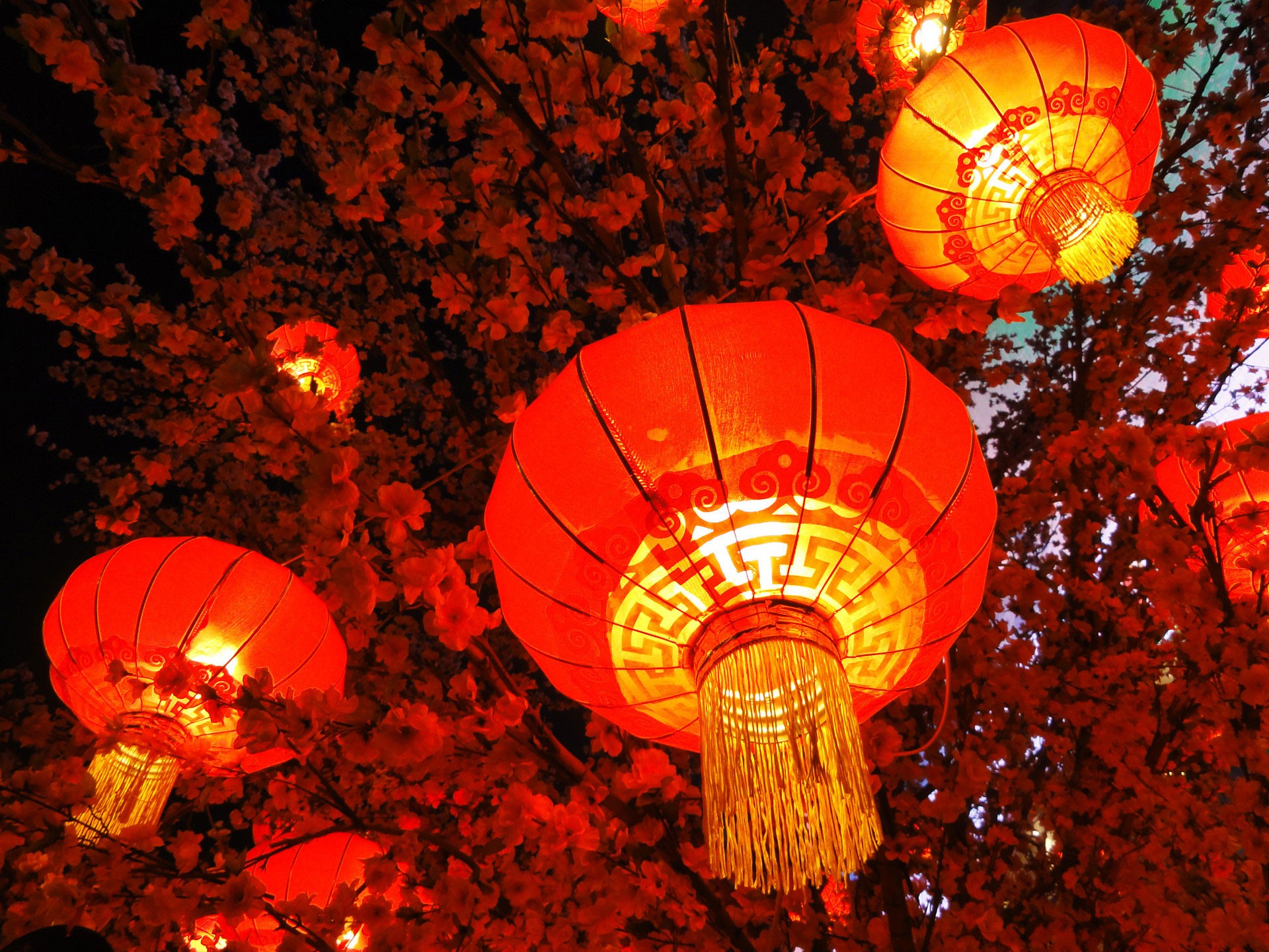 秦開電氣設(shè)備恭祝全國人民新年快樂！